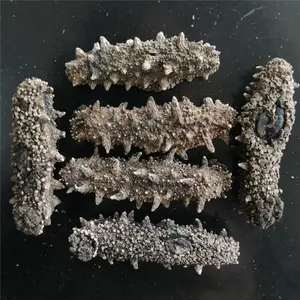 �����ﵭ�ɺ���500��80��150�������������ʲ����庣�̲�