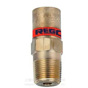 REGO泄压阀PT9102R系列*** 美国力高REGO阀门