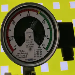 �¹�WIKA SF6�����ܶȼ̵���