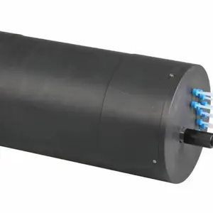 海水总氮总磷原位传感器/水质多参数监测仪（型号：浅水型）