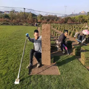 ��ɳ��Ƥ ���޲�Ƥ ������Ƥ ������Ƥ
