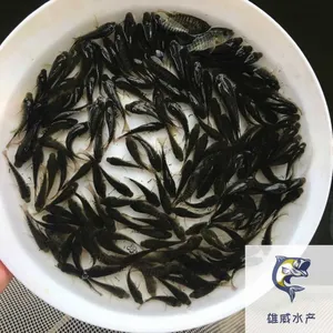 �޷�����������ȫ�����޷�������ۺ���һ���޷����繩Ӧ
