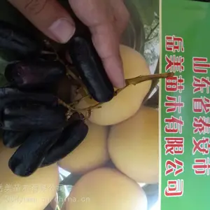 ������ɽ��Ʒ�ֺ� 2�����������