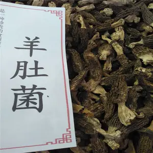 ���տ����ﹺ�� ���տ����С����տ�����������������
