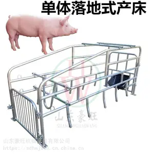 单体母猪产床落地产床养殖场专用产床保护仔猪安全
