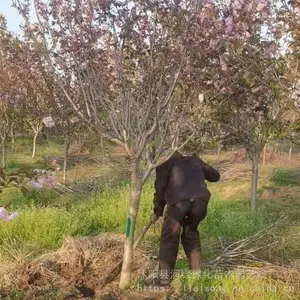�㽭5����ӣ���۸�5����ӣ�����糧��