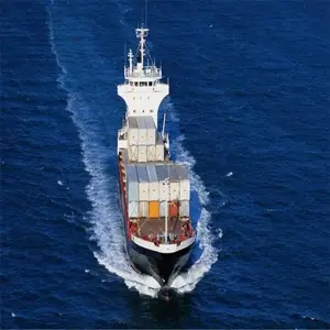 河源到中东电子产品国际海运 门对门集装箱海运 货物船运
