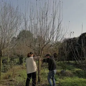 �Ĵ��������Ĺ�Ӧ���أ��߸˺�������8���ֱ������ļ� ��