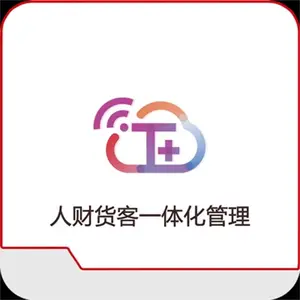 浙江用友T+财务软件 用友进销存软件