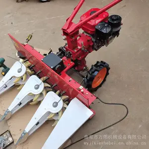 С���������޻��ո������ո�� ����ʽ���͸�ɹ�����