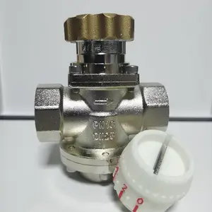 ����ʽ�������ڷ� DN20 ����ƽ�ⷧ С�ھ� �����������Ʒ�