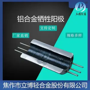 立博 防腐锌合金 牺牲阳极港工设施钢桩压载水舱锌阳极阴极保护材料