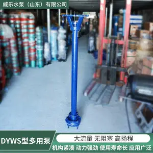 ԰�ֹ��ר��DYWS�Ͷ��ñ���ʽ�ཬ�ó��ҹ�Ӧ