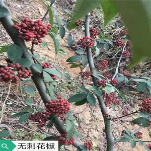 �������޴̻����� ��ũ �����繩Ӧ�� 2�������������Ǯ