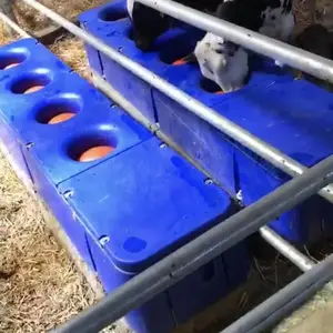�Ƹ�����Ӧ ����ˮ�룬ţ��������ˮ�룬4��������ˮ��