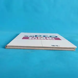 ����������ճ��� pco��ý���������ܶȼ��