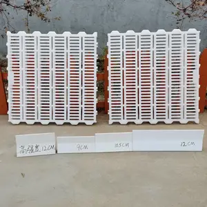 ��ΰ��©��� ˫��Ӻ������� ���������� ��������