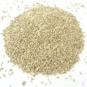 青海果洛常青草种草籽基地批发混播草籽草种籽