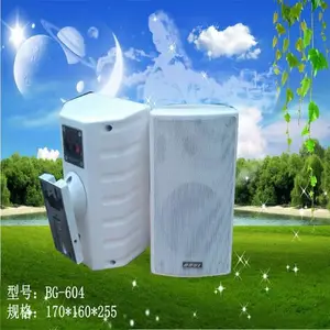 2021吸顶壁挂音响BG-603