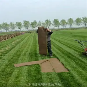 ���� �ļ����ƺ�ļ����� �����ֳ�ѡ�� ����������������
