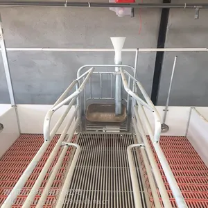双体母猪产床 养猪设备母猪产床厂家
