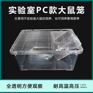 SS4������pc����ȫ͸��ʵ������������