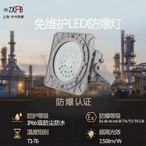 300W隔爆型防爆平台灯 吸顶式 石油平台照明 石油开采场所使用