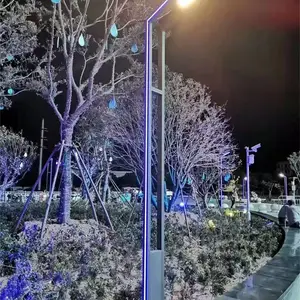 商丘柘城县太阳能道路照明灯:绿色能源点亮椒乡发展之路