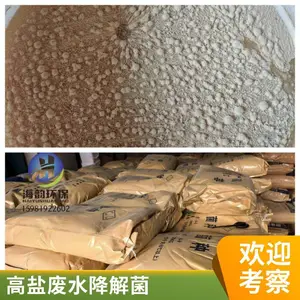 高盐废水处理用耐高盐好氧菌剂 复合菌种 降解COD 污水处理菌种