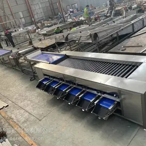 土豆滚杠式分拣机 洋葱头大小分级机 地瓜直径分选机