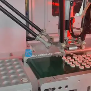 广东国内FPC自动装盘机优势 欢迎来电 广东若贝特智能机器人科技供应