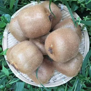 ������Ů����ó���޹�˾�����и�ˮ��⨺�����ժ�ַ���������⨺�����о5��װ���������⨺�������