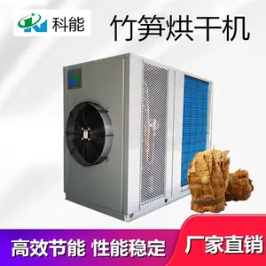 竹笋烘干机 高效节能春笋烘干设备厂家 科能KN-72RD