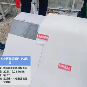 �������˫���ӽ����������˫���ӽ�������