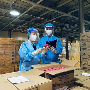 美国宠物食品进口报关案例解析:流程、资料及独特见解