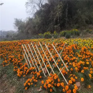 ̩������pvcΧǽ������̨С����������դ��