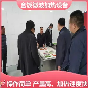 全自动微波干燥杀青设备 烘干杀菌处理机 微波盒饭复热设备