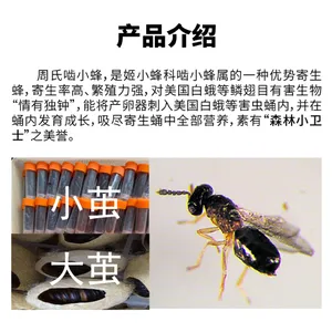 �Գ��γ棬������С��***�����׶���۳�Ŀ�к�����