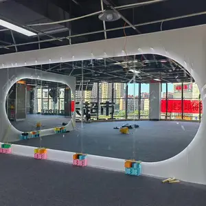 东丽区安装镜子,舞蹈镜子,超白镜子,大小镜子清晰透亮