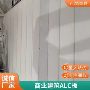 ��� ALC���ʸ�ǽ�� Ԥ��װ��ʽ������ �������� ���趨��