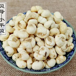 �Ϲ������ﹺ�� �Ϲ��ӵ�ҩ�ü�ֵ�Ϲ��Ӽ۸����һ����