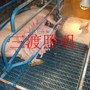 鸡苗保温灯厂家-三渡照明-鸭苗保温灯厂家