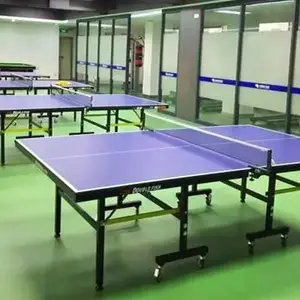 乒乓球桌价格-海口轩健体育设备-海口球桌