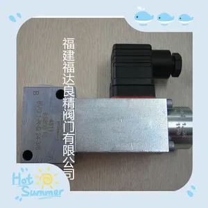 HAWE�����ͽ�ֹʽ���� Һѹ�� ��ŷ�BVG 1 R-G 24-3/8
