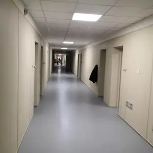 ��ԭ�����������������峧��
