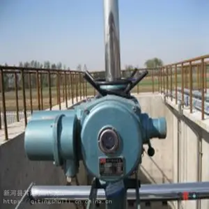 ���ջ� ��ҡ���ջ� ����ˮ��