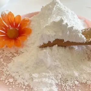�����ȫ����ֲ�����ֲ��ɫ������200Ŀ������ĥ���ϴ߻�������