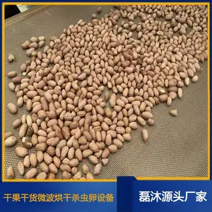 花生烘干熟化五谷杂粮烘干微波杀菌杀虫卵设备智能易操作