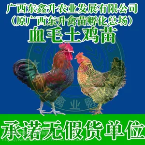 ������-ɢ�����������Ǯһֻ-�ӱ�����-��������