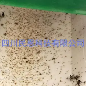 �Ĵ������ݡ����ϡ����졢���������������ϵظ���Ǳҹ�����ռ�